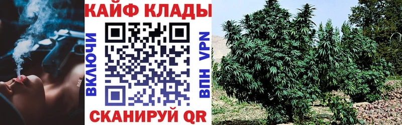 Наркошоп купить Cocaine  Бошки Шишки  Псилоцибиновые грибы  ГАШ  Меф  Ирбит