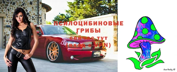 MESCALINE Каменка