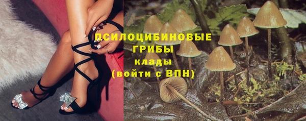 MESCALINE Каменка