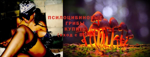 MESCALINE Каменка