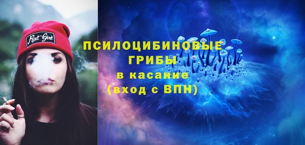 спиды Каменск-Шахтинский