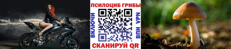 Галлюциногенные грибы Psilocybine cubensis  Купить  Ирбит 